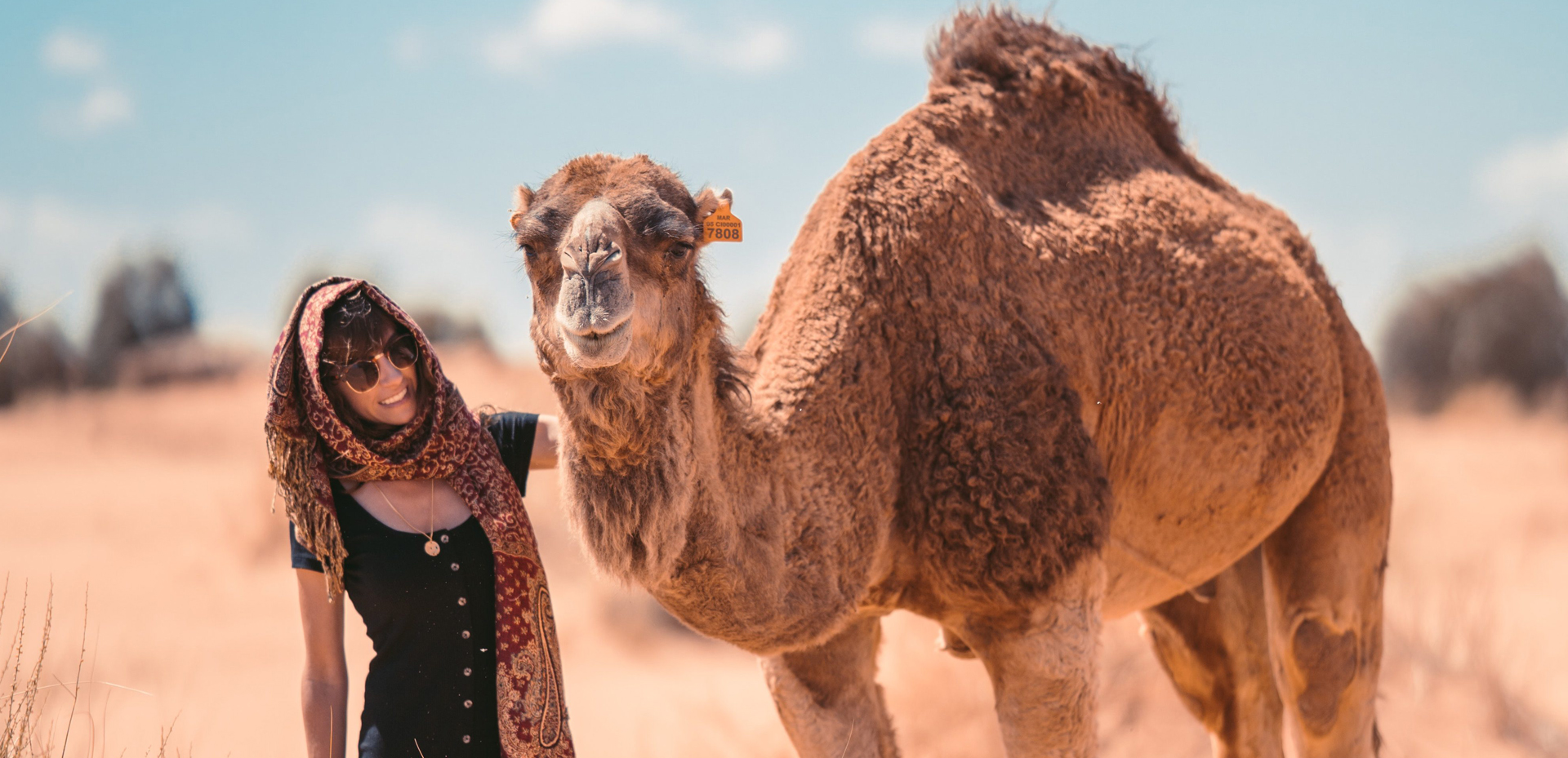 Marrakech Desert tours