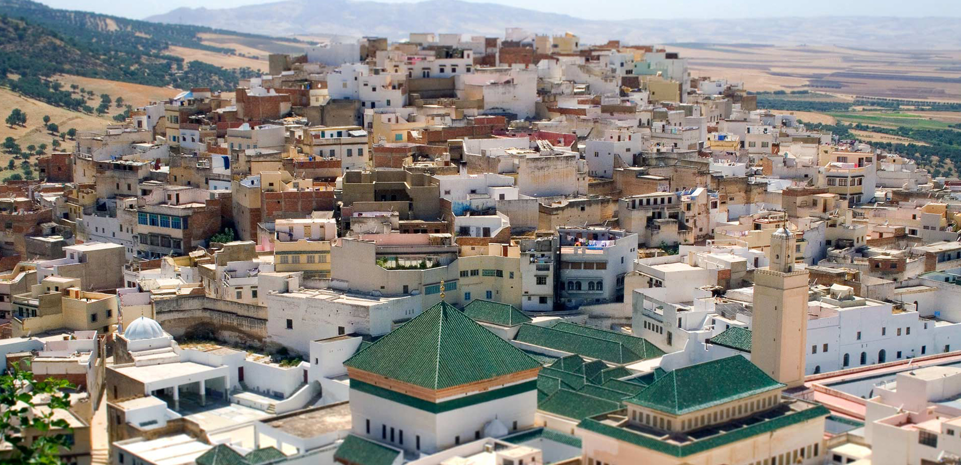 Volubilis, moulay idriss and Meknes Day Trip From Fes